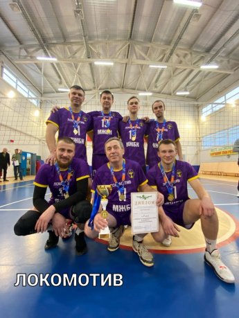 Чемпионат по волейболу среди мужских команд