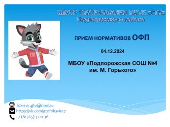 Прием нормативов ВФСК «ГТО»  в МБОУ "ПСОШ №4 им. М. Горького"